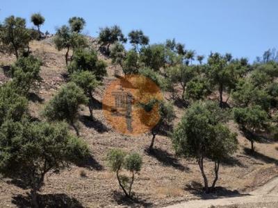 Acheter Terrain Tavira rgion FARO