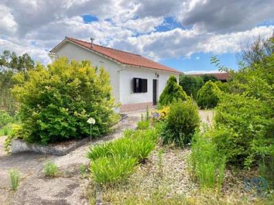 Vente Maison Agua-formosa PELARIGA 10 au Portugal