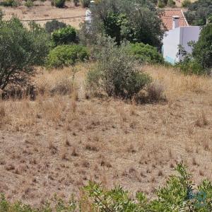 Acheter Terrain 2440 m2 Loule