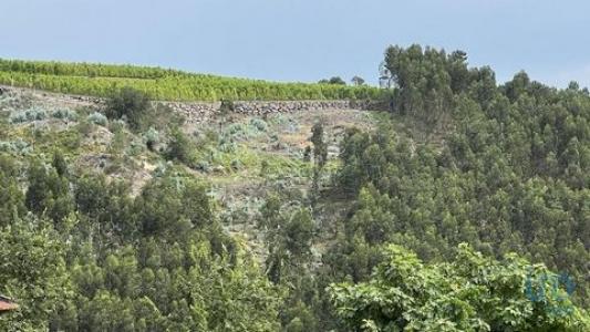 Vente Terrain Banho-e-carvalhosa BANHO-E-CARVALHOSA 13 au Portugal