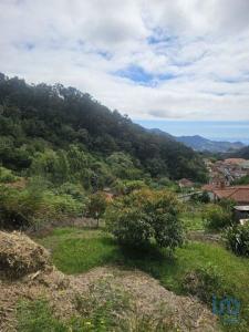 Acheter Terrain 3940 m2 Machico