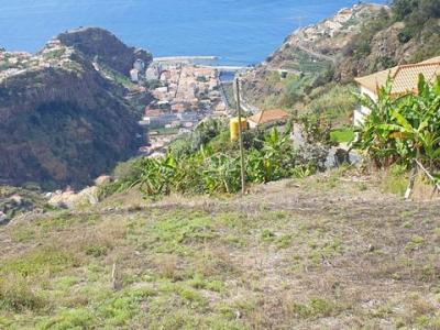 Annonce Vente Terrain Ribeira-brava