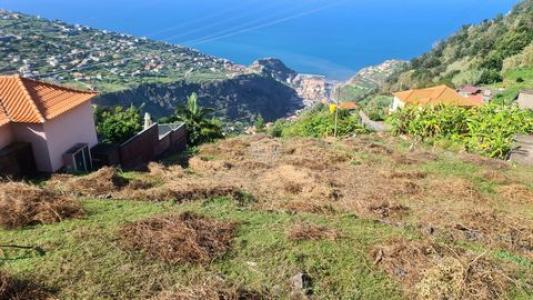 Acheter Terrain Ribeira-brava rgion MADEIRA