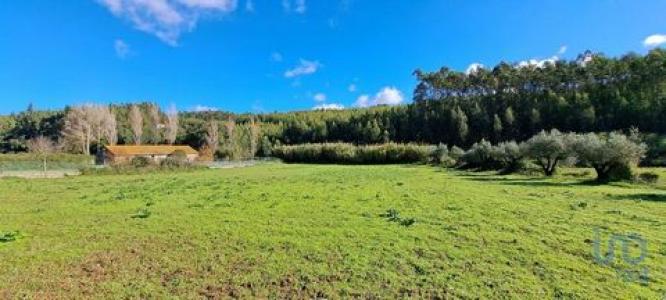 Annonce Vente Terrain Rio-maior