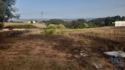 Annonce Vente Terrain Alcobaca