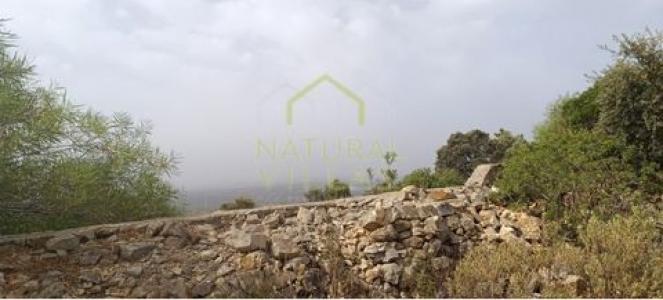 Acheter Terrain 6400 m2 Faro