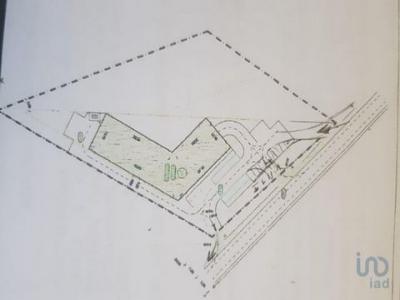 Acheter Terrain 5837 m2 Almancil