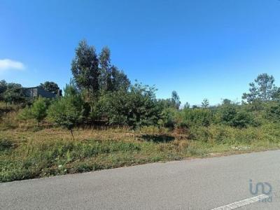 Annonce Vente Terrain Pedrogao-grande