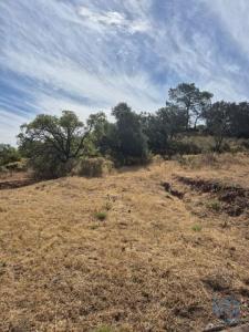 Acheter Terrain 7880 m2 Loule