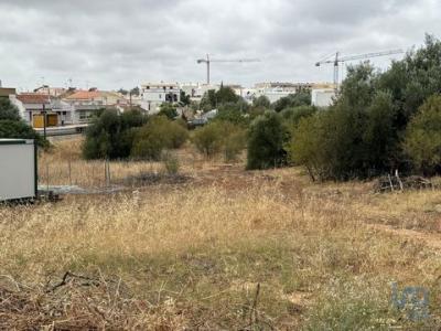 Annonce Vente Terrain Tavira