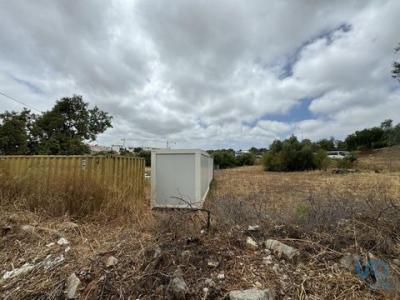 Acheter Terrain 6000 m2 Tavira