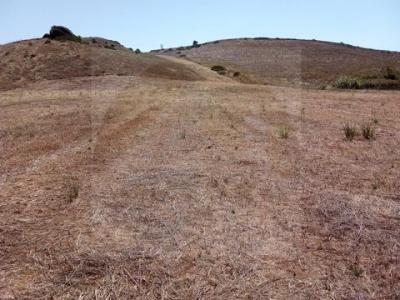 Acheter Terrain 32767 m2 Vila-do-bispo