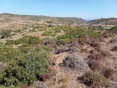 Annonce Vente Terrain Vila-do-bispo