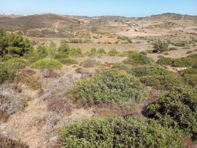 Acheter Terrain 6567 m2 Vila-do-bispo