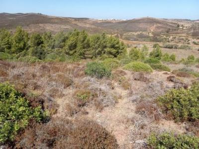 Acheter Terrain Vila-do-bispo rgion FARO