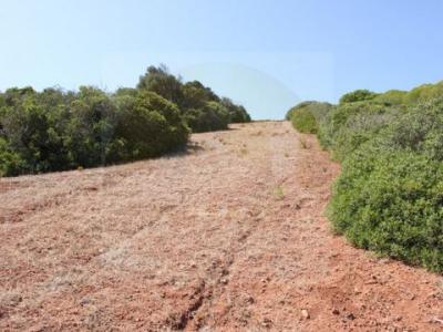 Annonce Vente Terrain Vila-do-bispo