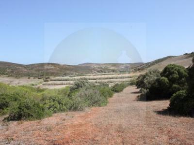 Acheter Terrain 2634 m2 Vila-do-bispo