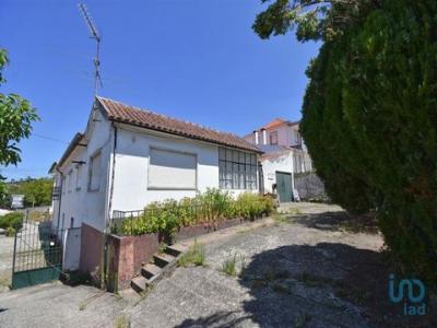 Acheter Maison Penela rgion COIMBRA