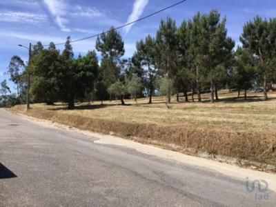 Vente Terrain Soure ALFARELOS 06 au Portugal