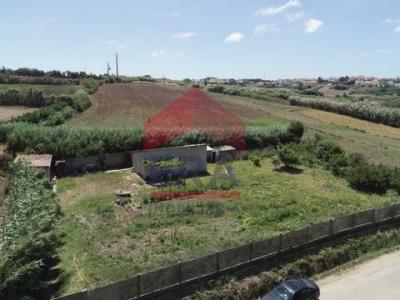 Acheter Terrain 1920 m2 Lourinha