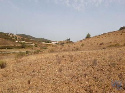 Acheter Terrain 32040 m2 Aldeia-ruiva