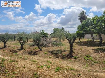 Acheter Maison Santarem rgion SANTAREM