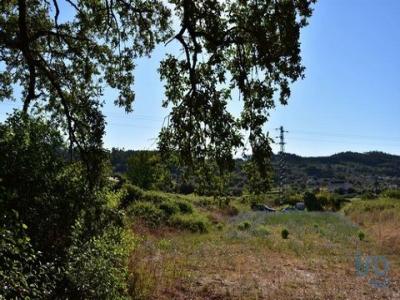 Annonce Vente Terrain Ferreira-do-zezere