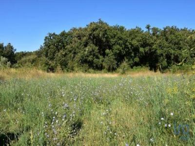 Acheter Terrain Ferreira-do-zezere rgion SANTAREM