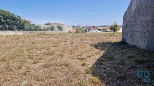 Annonce Vente Terrain Porto-de-mos