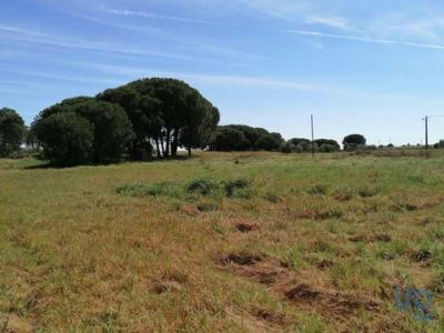 Annonce Vente Terrain Canha