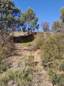 Acheter Terrain 7880 m2 Tavira