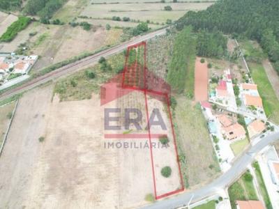 Annonce Vente Terrain Caldas-da-rainha