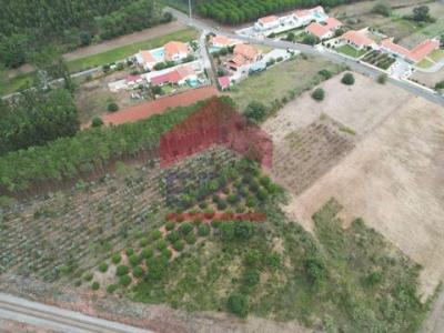 Acheter Terrain Caldas-da-rainha rgion LEIRIA