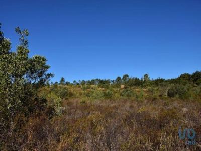 Vente Terrain Ferreira-do-zezere AREIAS-E-PIAS 14 au Portugal