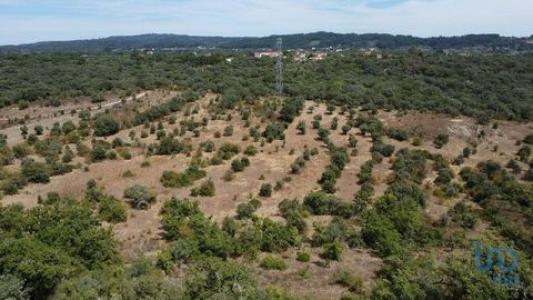 Annonce Vente Terrain Ferreira-do-zezere