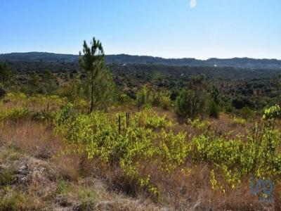 Acheter Terrain 17000 m2 Ferreira-do-zezere