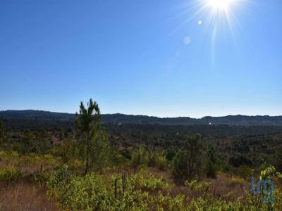 Acheter Terrain Ferreira-do-zezere rgion SANTAREM