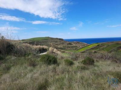 Acheter Terrain 3187 m2 Mafra