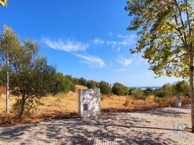 Acheter Terrain Tavira rgion FARO