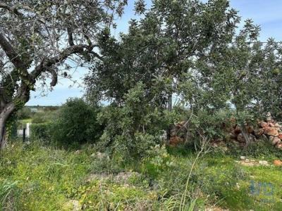 Acheter Terrain Tavira rgion FARO