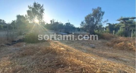 Annonce Vente Terrain Loule