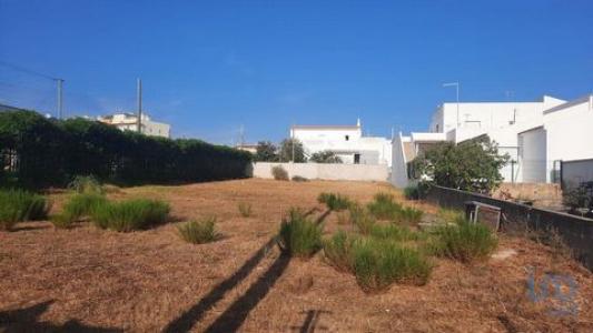 Annonce Vente Terrain Faro