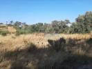 Acheter Terrain 5400 m2 VILA-DO-BISPO