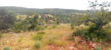 Annonce Vente Terrain LOULE