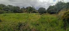 Acheter Terrain 940 m2 LOULE