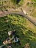 Vente Terrain ARCO-DA-CALHETA 9370