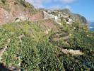 Acheter Terrain ARCO-DA-CALHETA rgion MADEIRA