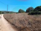 Acheter Terrain 14240 m2 VILA-DO-BISPO