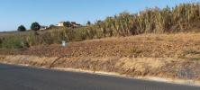 Vente Terrain TORRES-VEDRAS 2560