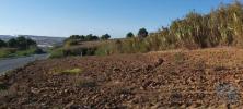 Annonce Vente Terrain TORRES-VEDRAS